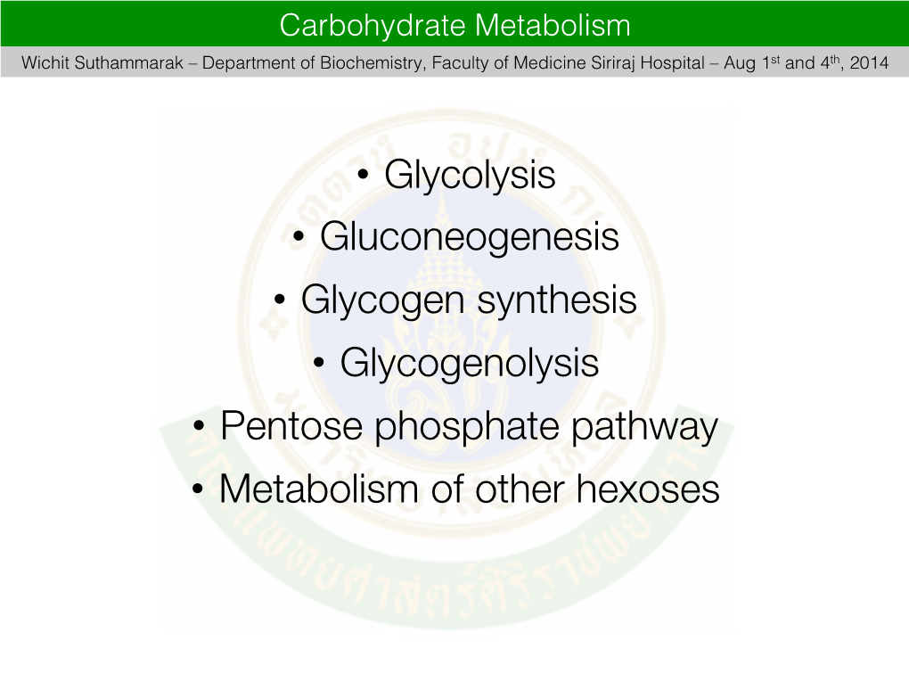 • Glycolysis • Gluconeogenesis • Glycogen Synthesis