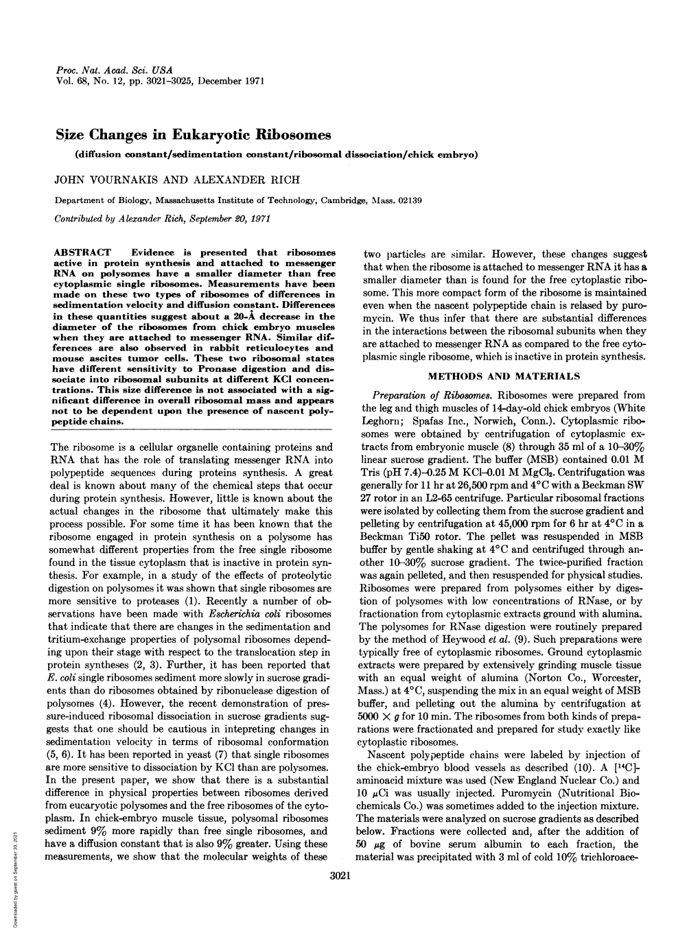 Size Changes in Eukaryotic Ribosomes