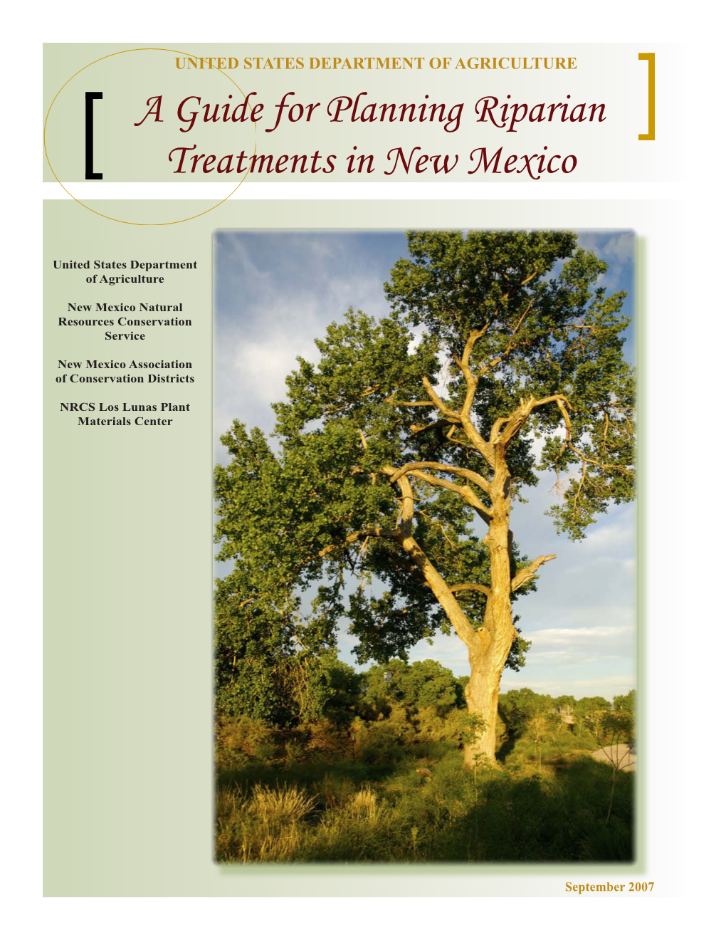 A Guide for Planning Riparian Treatments in New Mexico