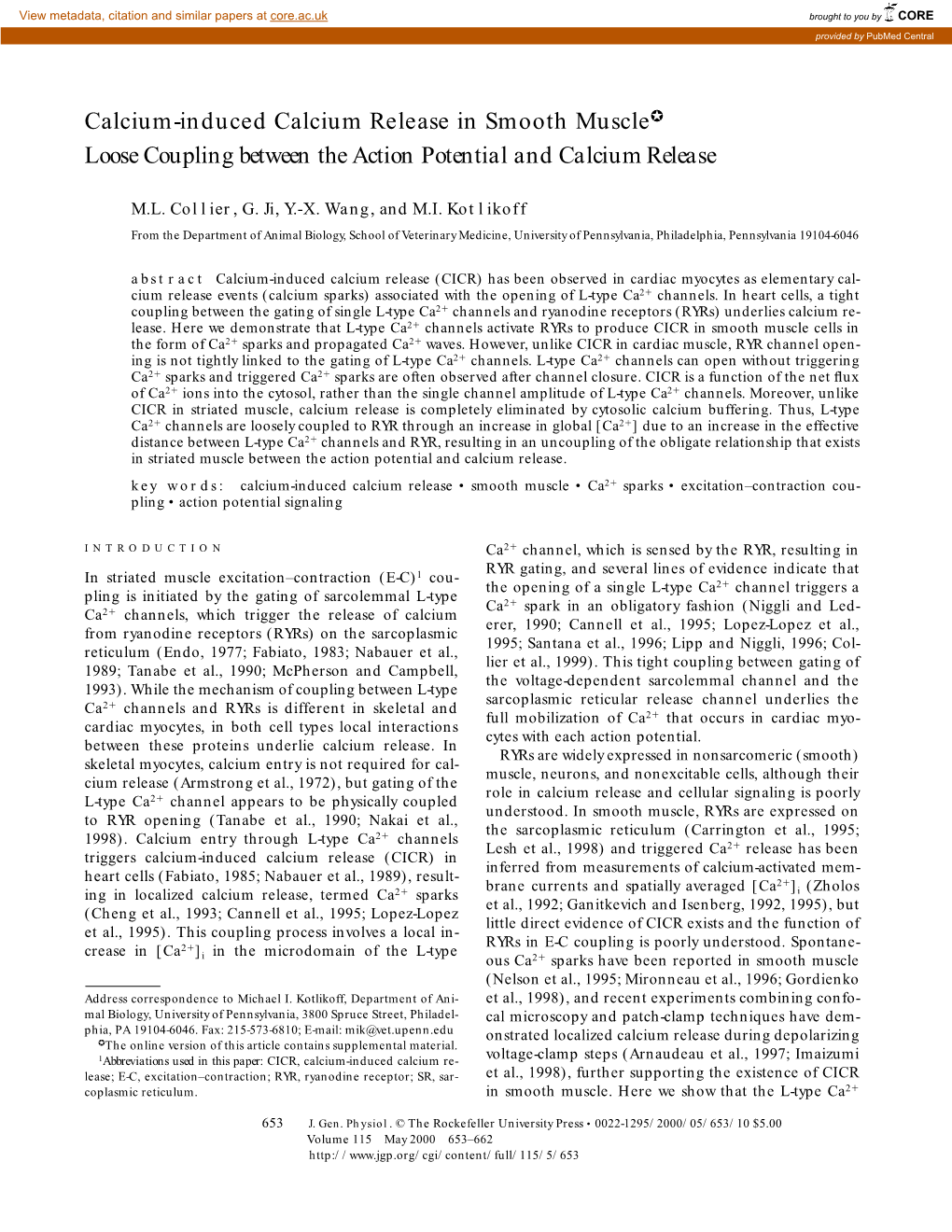 Calcium-Induced Calcium Release in Smooth Muscle7 Loose Coupling