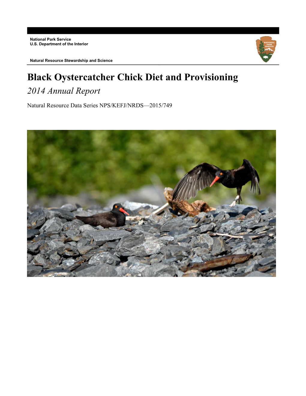 Black Oystercatcher Diet and Provisioning 2014 Annual Report