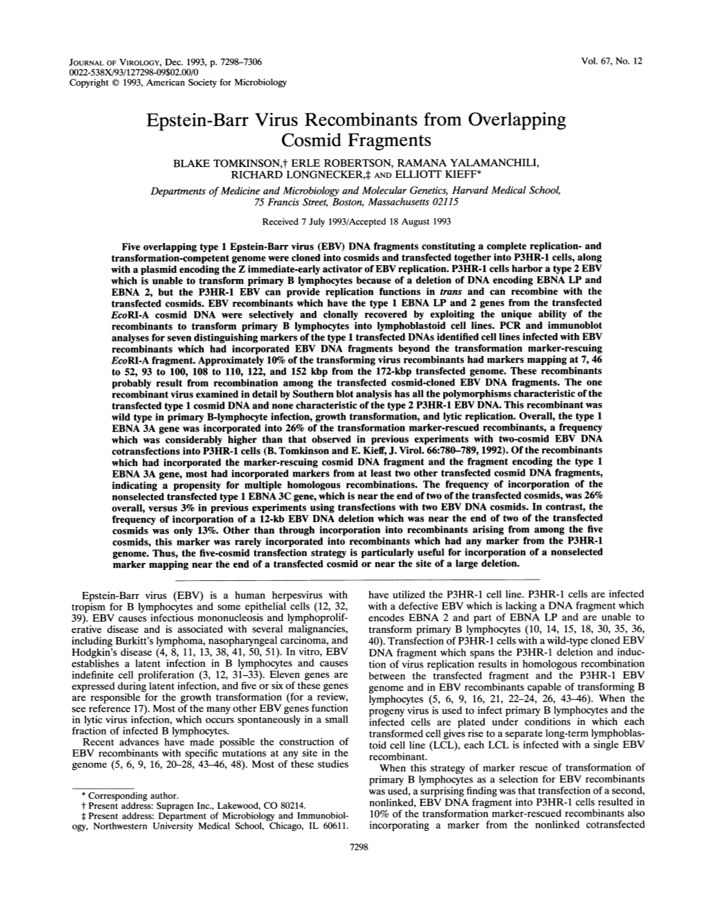 Epstein-Barr Virus Recombinants from Overlapping Cosmid Fragments