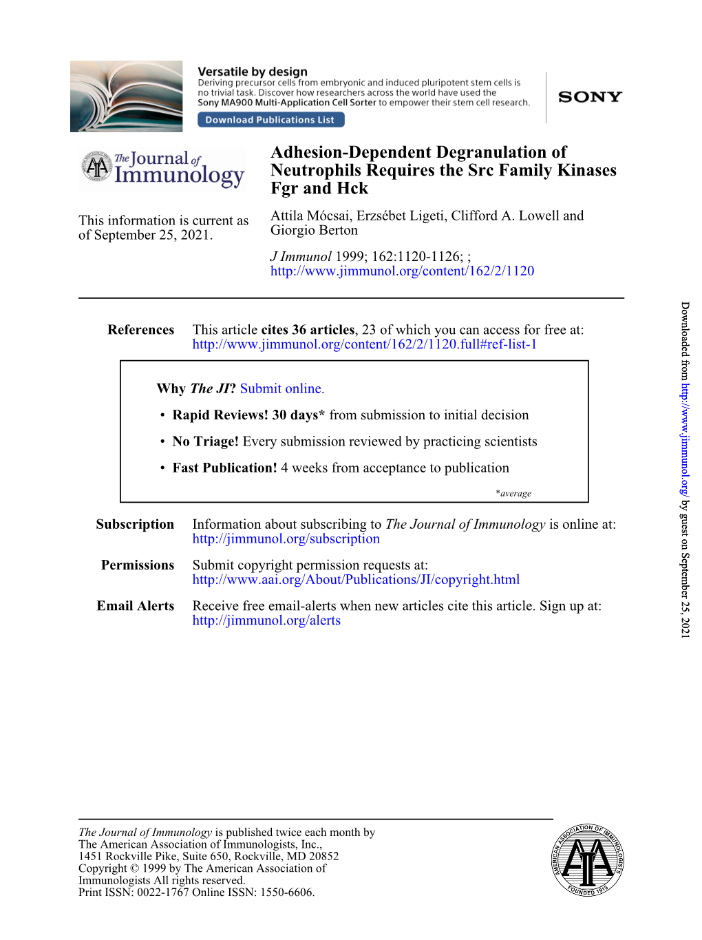 Fgr and Hck Neutrophils Requires the Src Family Kinases Adhesion-Dependent Degranulation Of