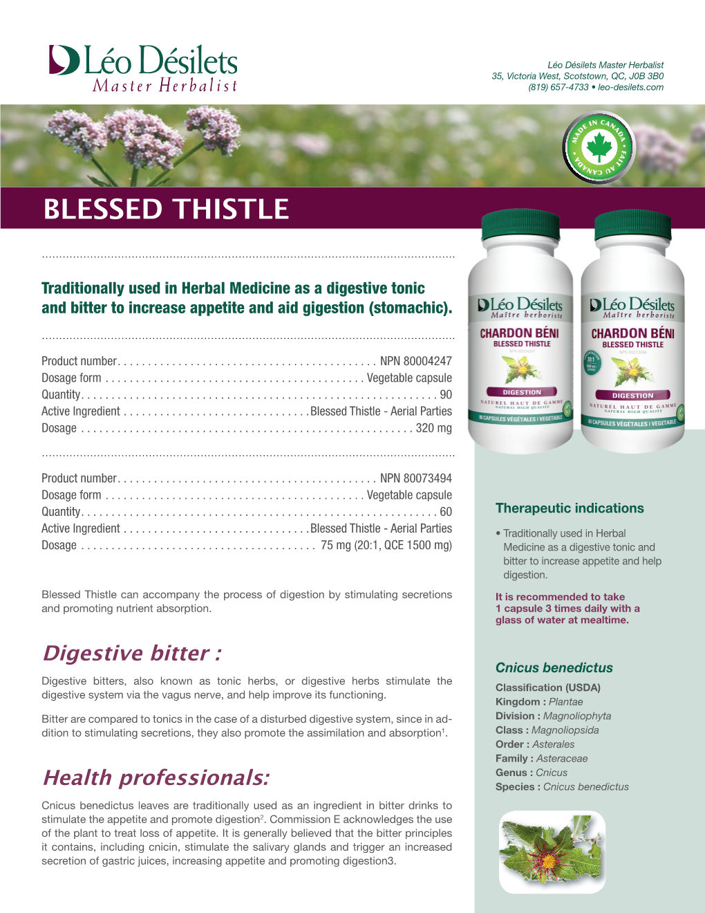 Blessed Thistle