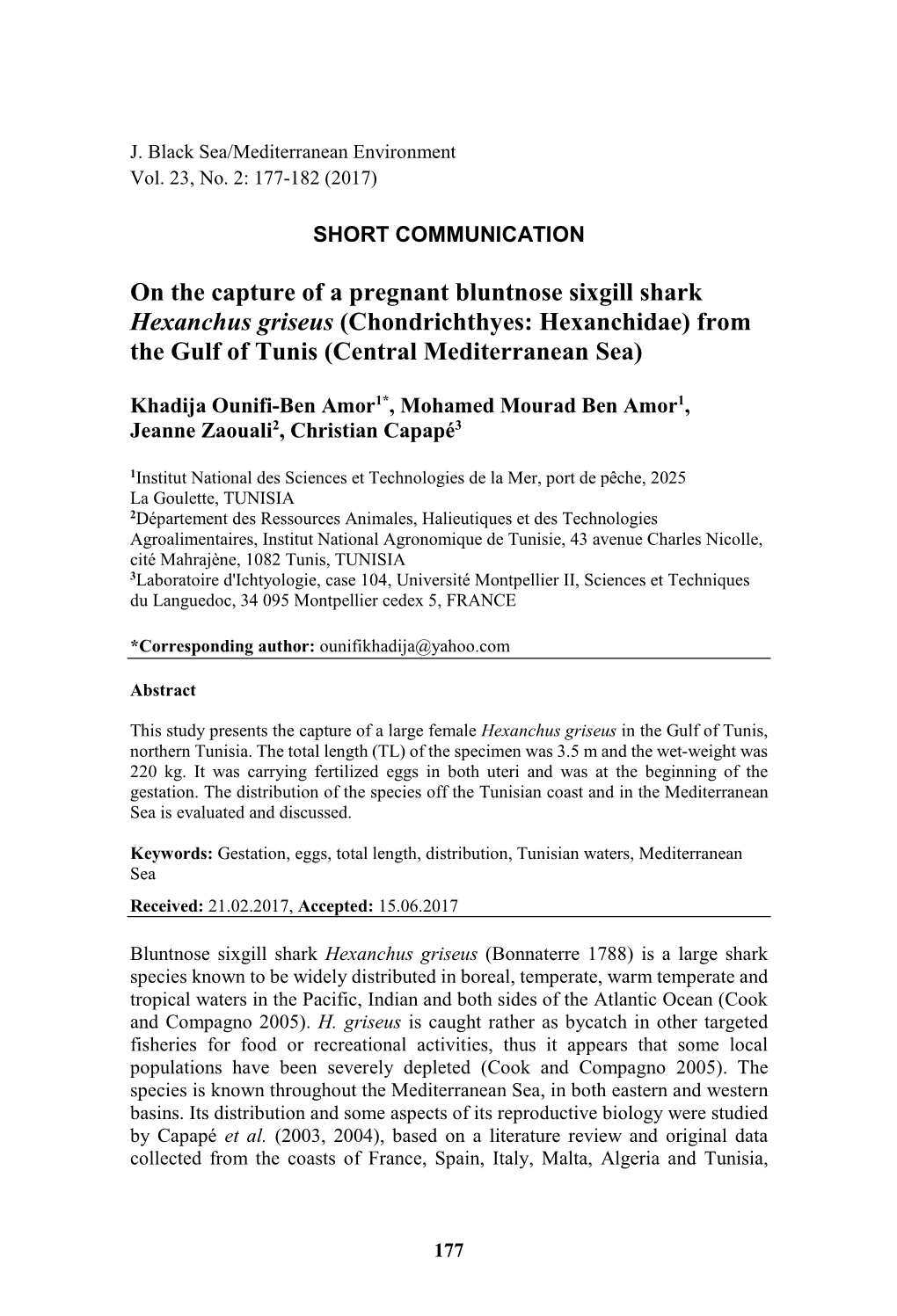 On the Capture of a Pregnant Bluntnose Sixgill Shark Hexanchus Griseus (Chondrichthyes: Hexanchidae) from the Gulf of Tunis (Central Mediterranean Sea)