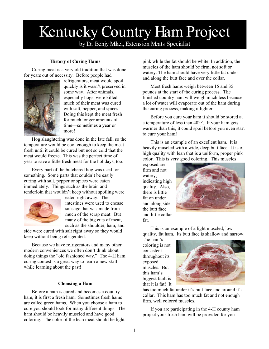 Kentucky Country Ham Project by Dr