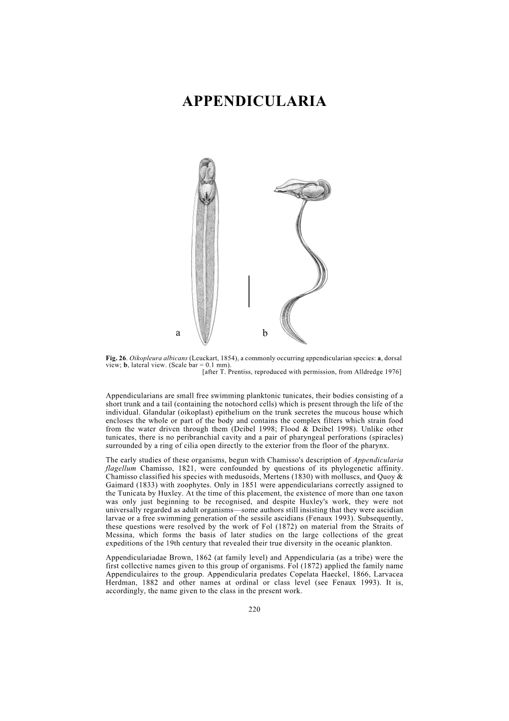 Appendicularia of CTAW