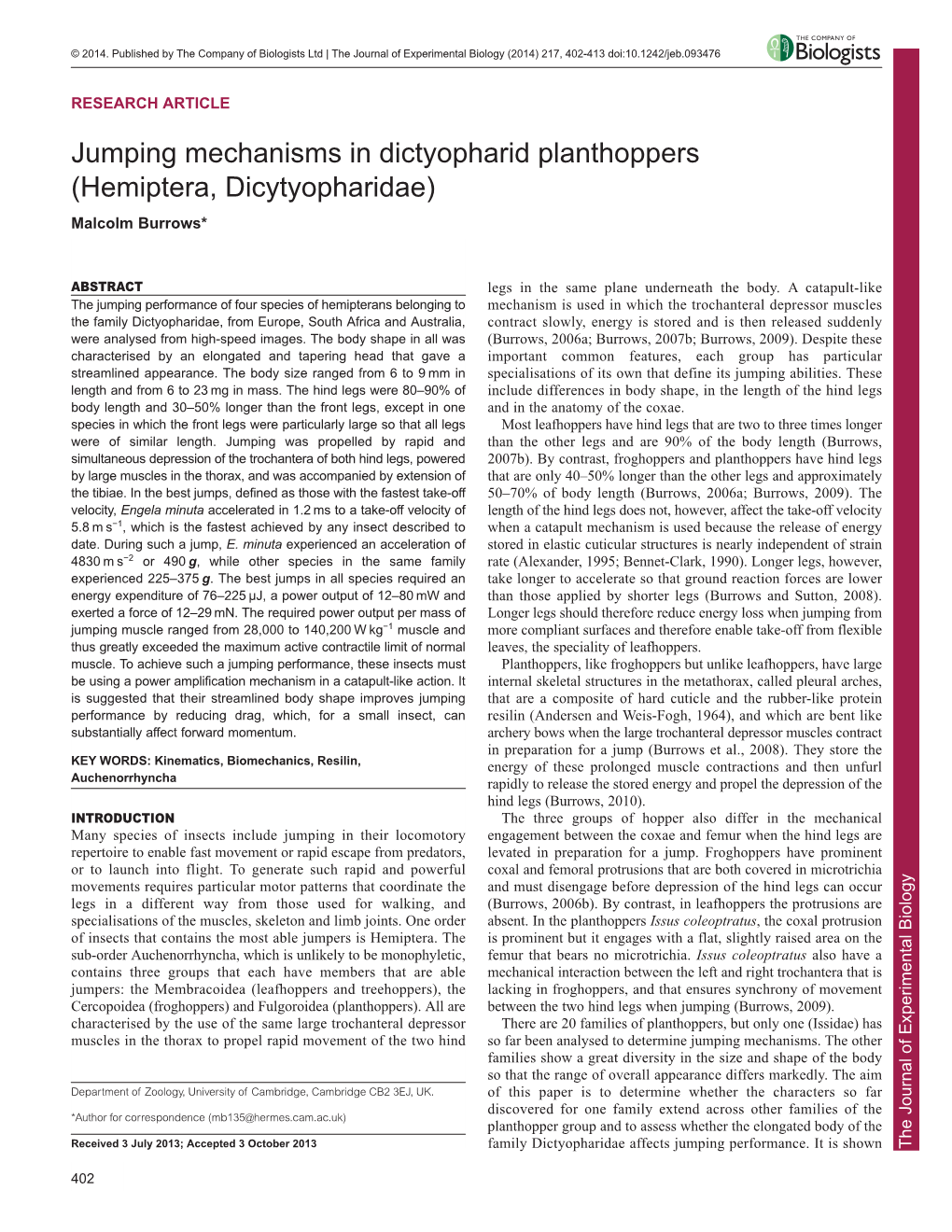 Jumping Mechanisms in Dictyopharid Planthoppers (Hemiptera