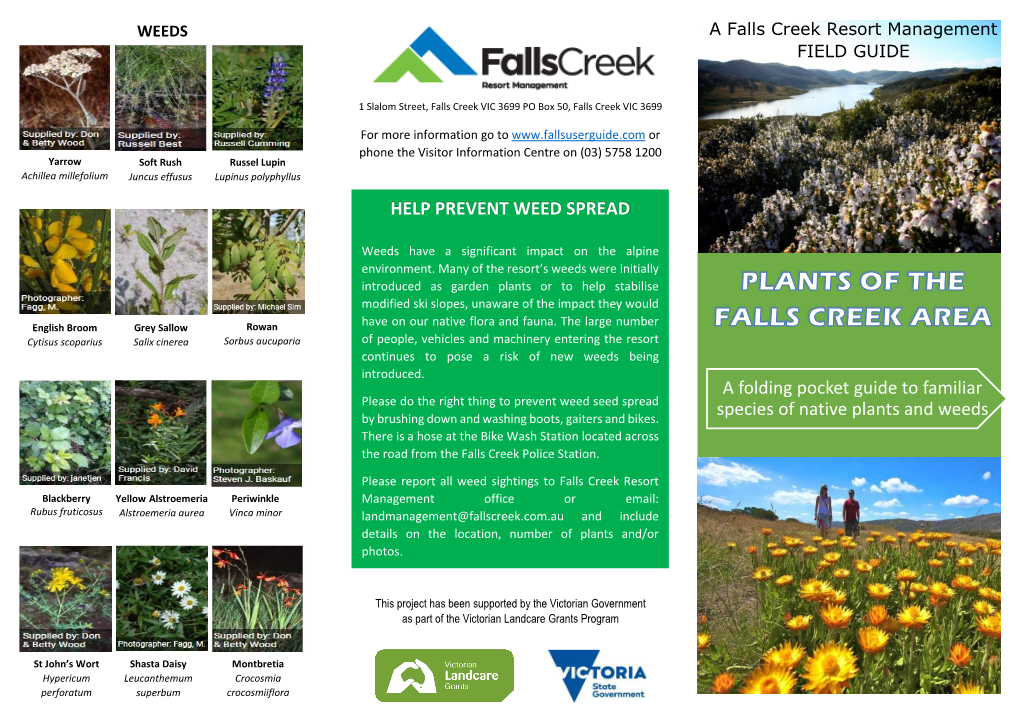 Plants of Falls Creek Region Guide