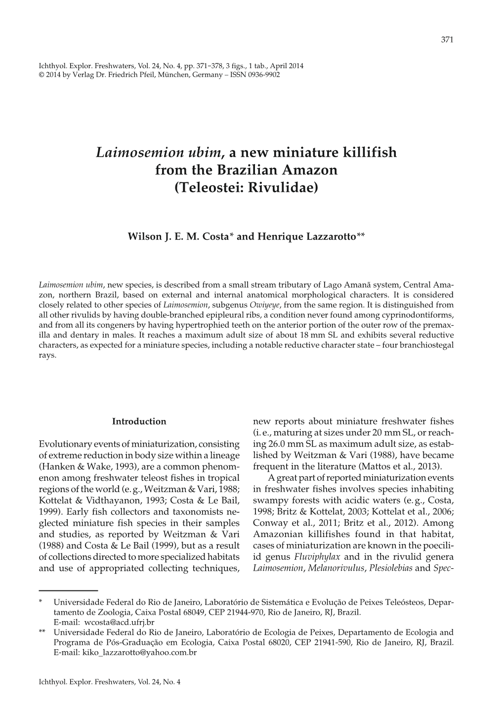 Laimosemion Ubim, a New Miniature Killifish from the Brazilian Amazon (Teleostei: Rivulidae)