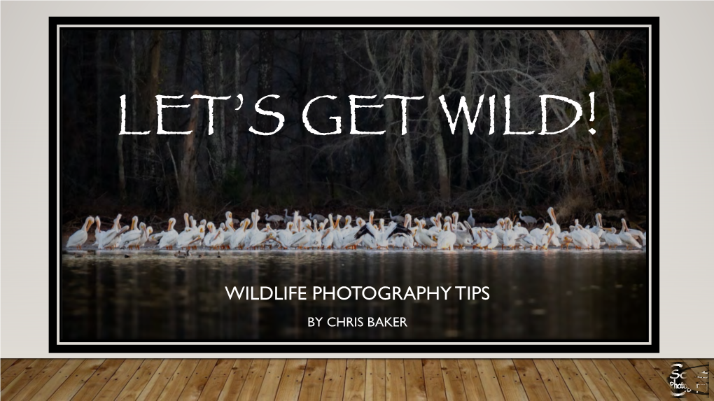 Wildlife Photography Tips by Chris Baker 2 Topics