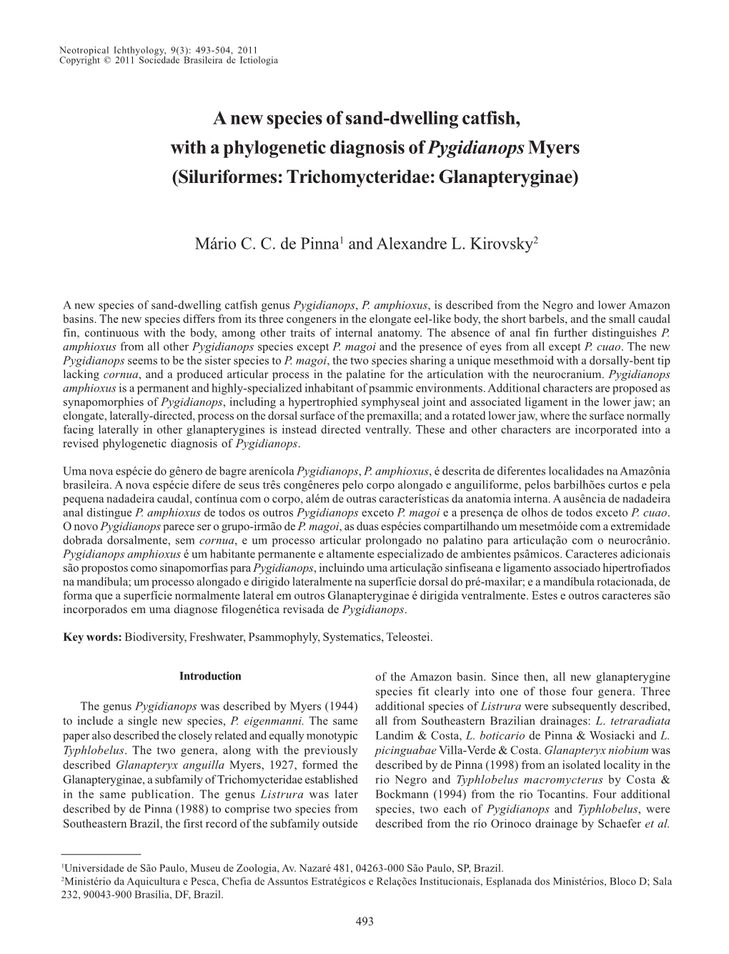 A New Species of Sand-Dwelling Catfish, with a Phylogenetic Diagnosis of Pygidianops Myers (Siluriformes: Trichomycteridae: Glanapteryginae)