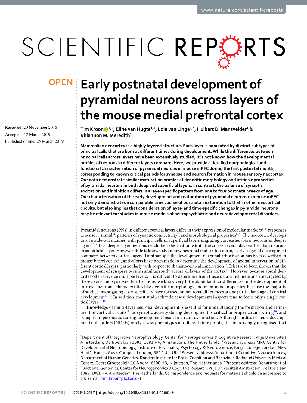 Early Postnatal Development of Pyramidal Neurons Across Layers Of