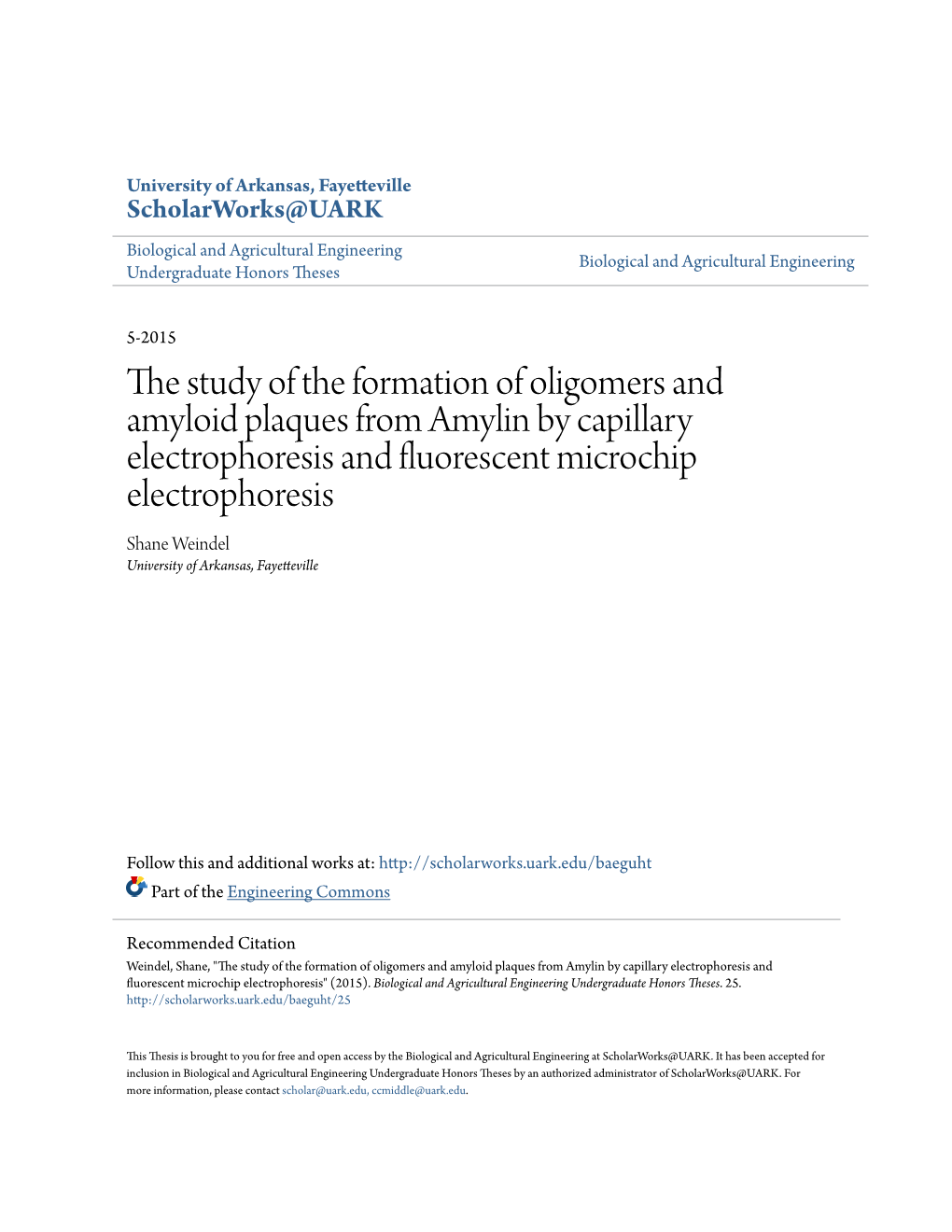 The Study of the Formation of Oligomers and Amyloid Plaques from Amylin by Capillary Electrophoresis and Fluorescent Microchip E