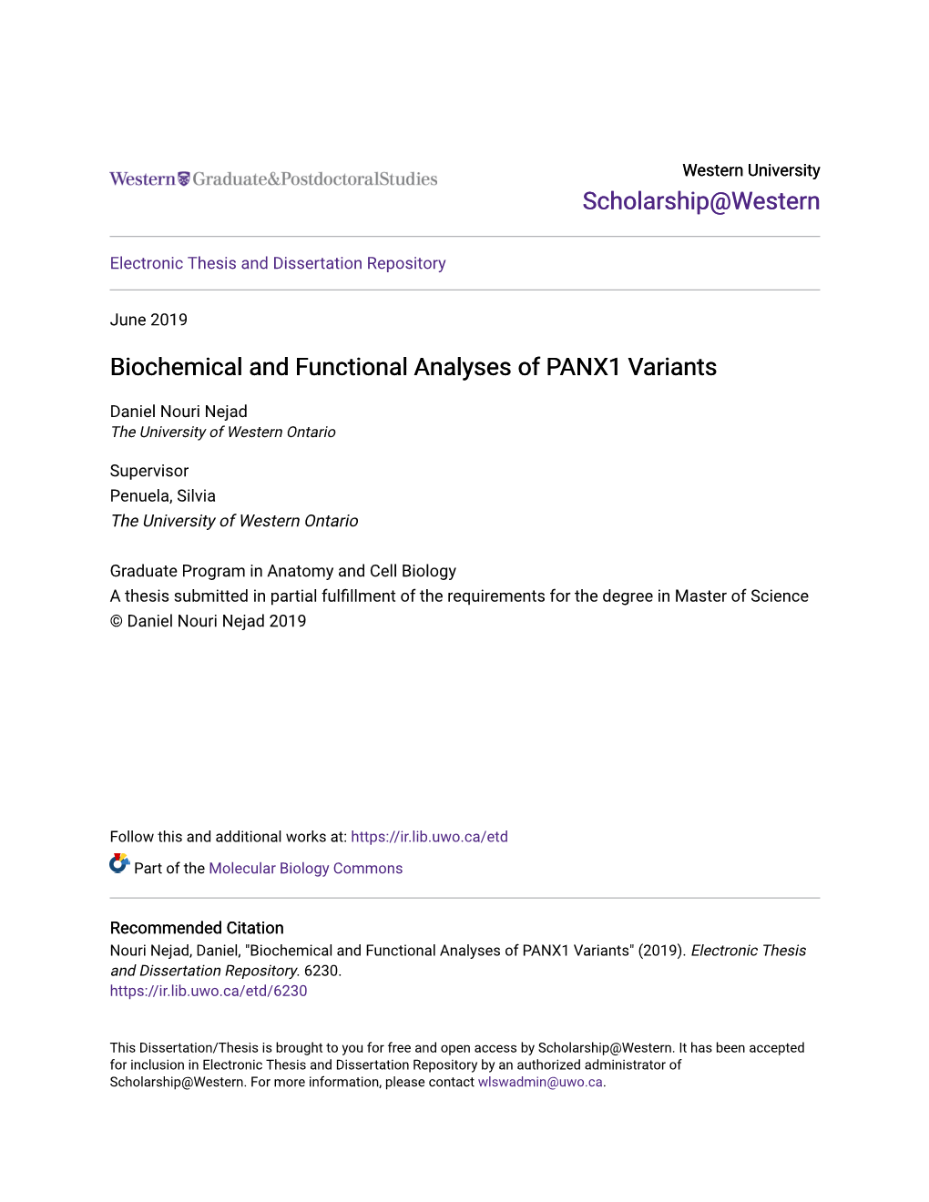 Biochemical and Functional Analyses of PANX1 Variants