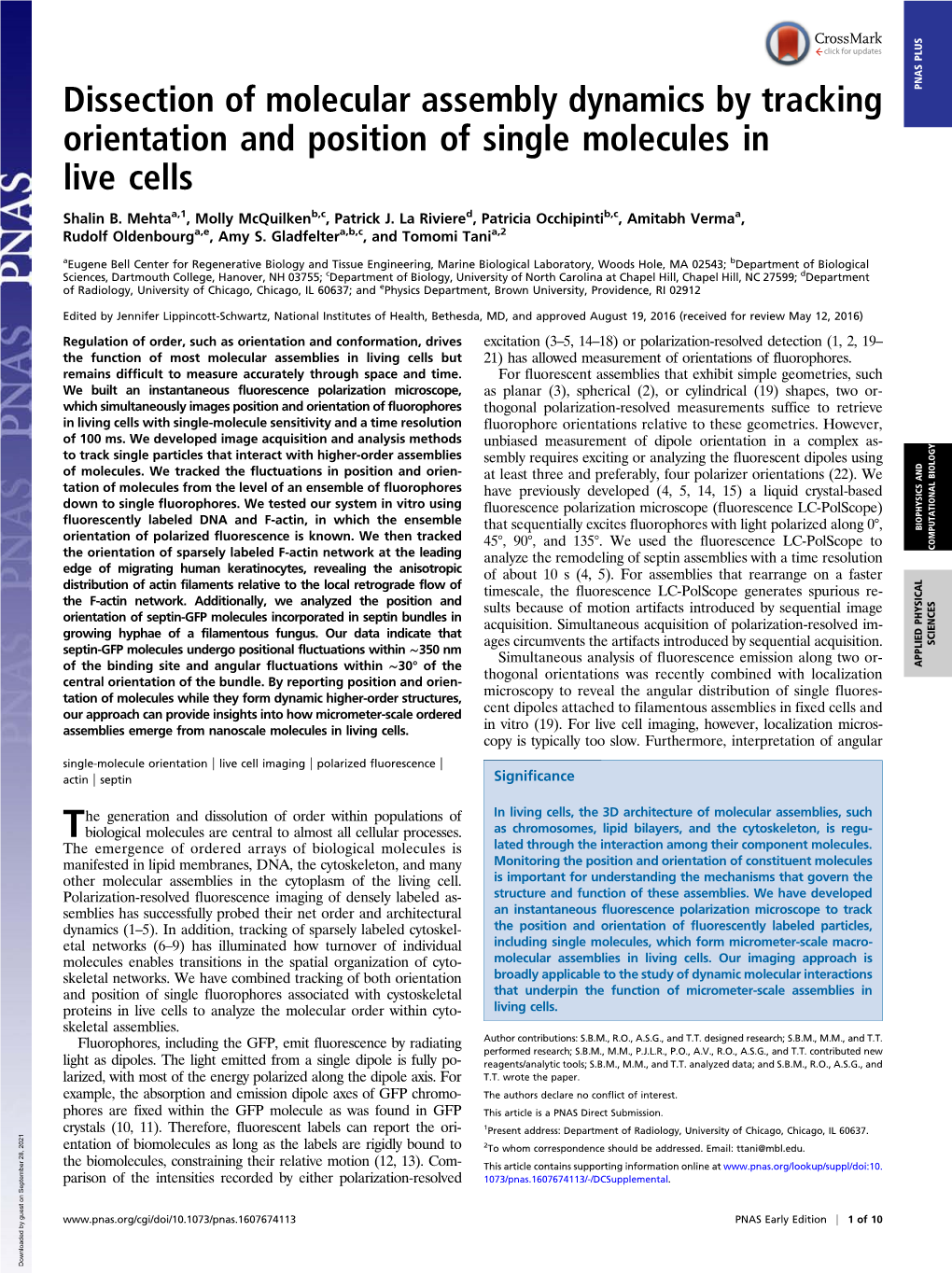 Dissection of Molecular Assembly Dynamics by Tracking Orientation