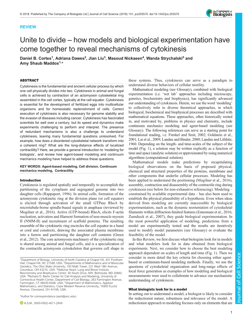 How Models and Biological Experimentation Have Come Together to Reveal Mechanisms of Cytokinesis Daniel B