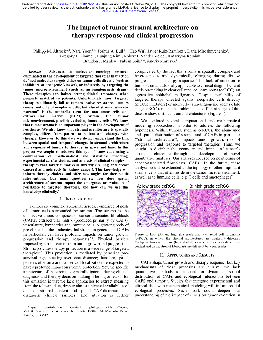 The Impact of Tumor Stromal Architecture on Therapy Response and Clinical Progression