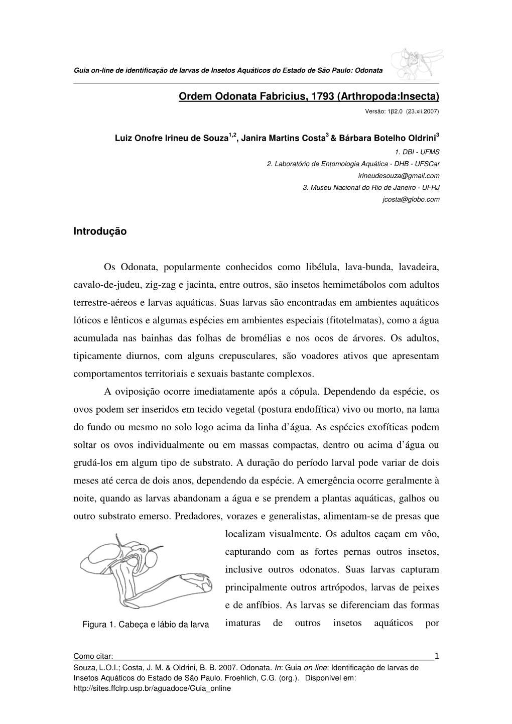 (2007). Odonata. In: Guia On-Line: Identificação De Larvas
