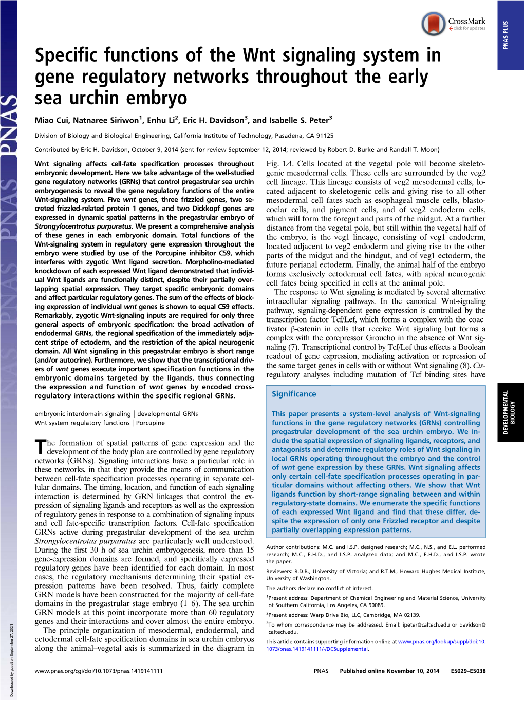 Specific Functions of the Wnt Signaling System in Gene Regulatory Networks