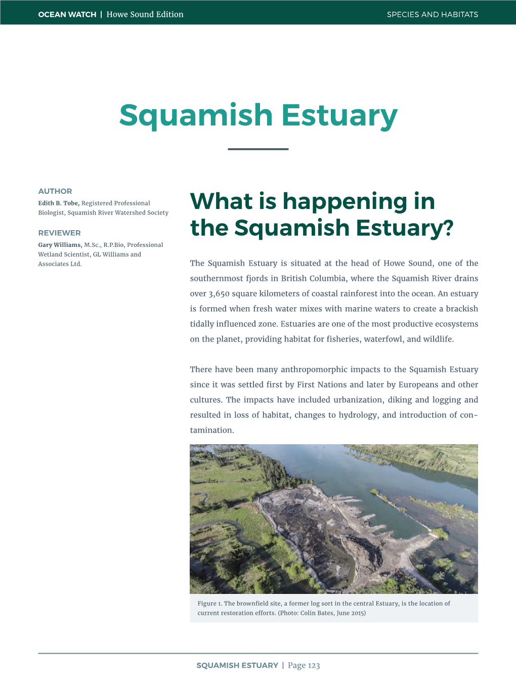 Squamish Estuary