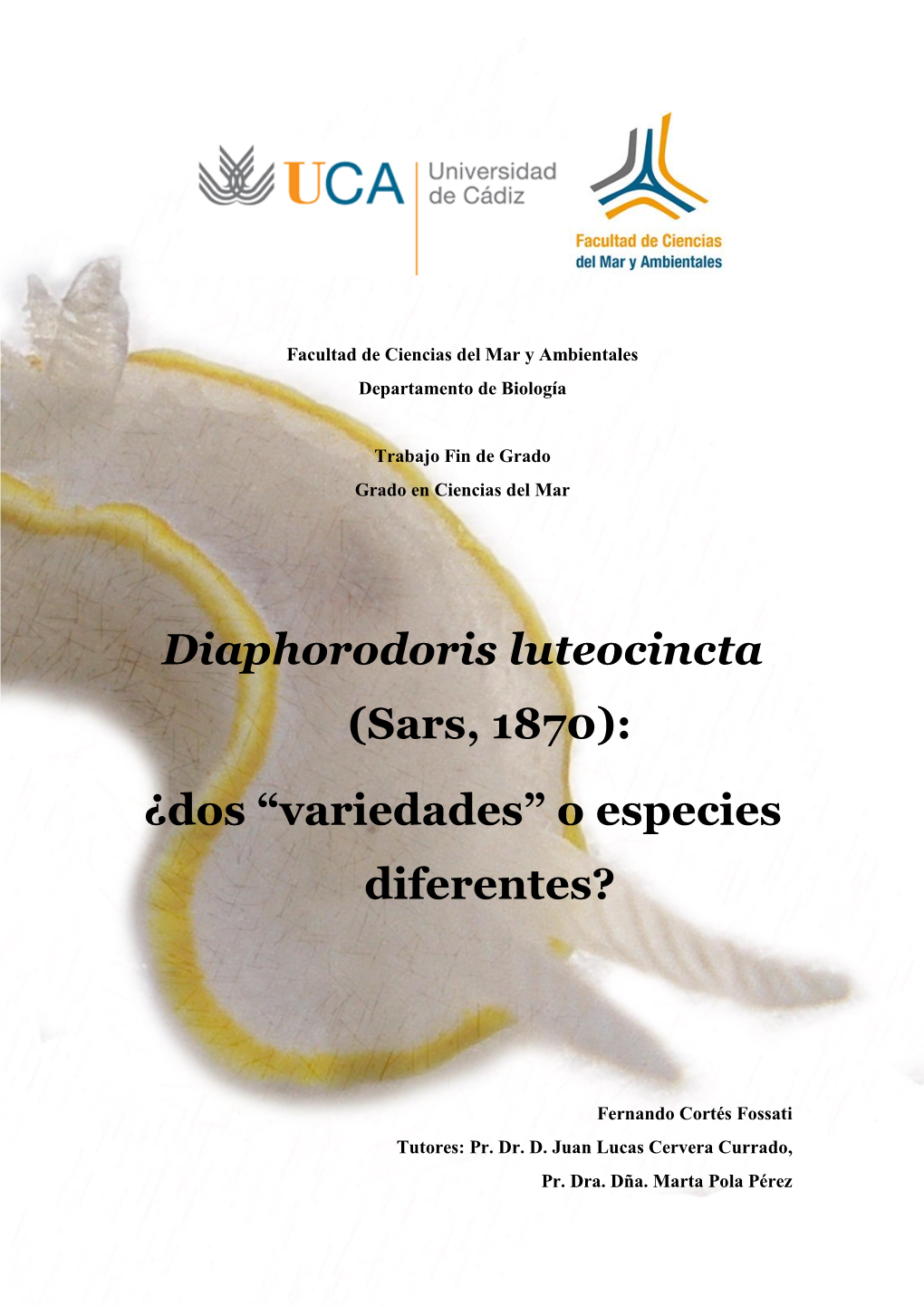 Diaphorodoris Luteocincta (Sars, 1870): ¿Dos “Variedades” O Especies Diferentes?