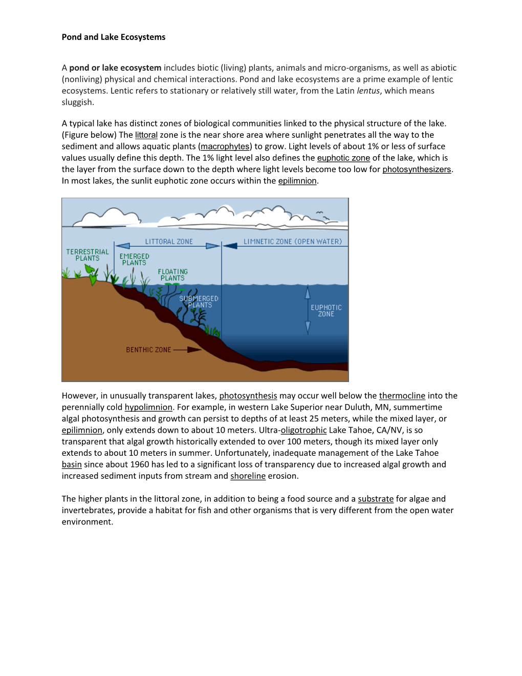 Pond and Lake Ecosystems a Pond Or Lake Ecosystem Includes Biotic