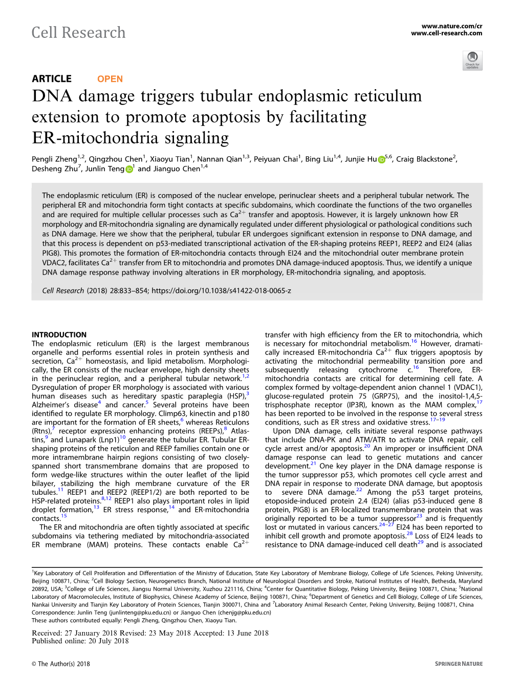 DNA Damage Triggers Tubular Endoplasmic Reticulum Extension to Promote Apoptosis by Facilitating ER-Mitochondria Signaling