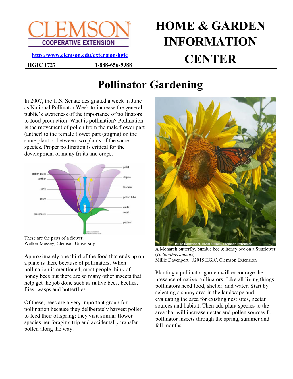 Pollinator Gardening