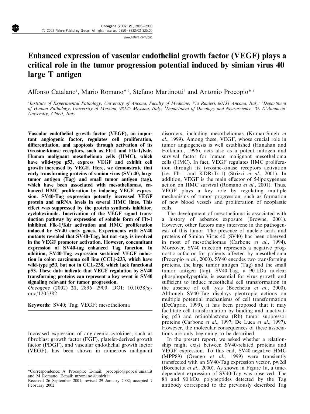 Enhanced Expression of Vascular Endothelial Growth Factor (VEGF) Plays a Critical Role in the Tumor Progression Potential Induced by Simian Virus 40 Large T Antigen