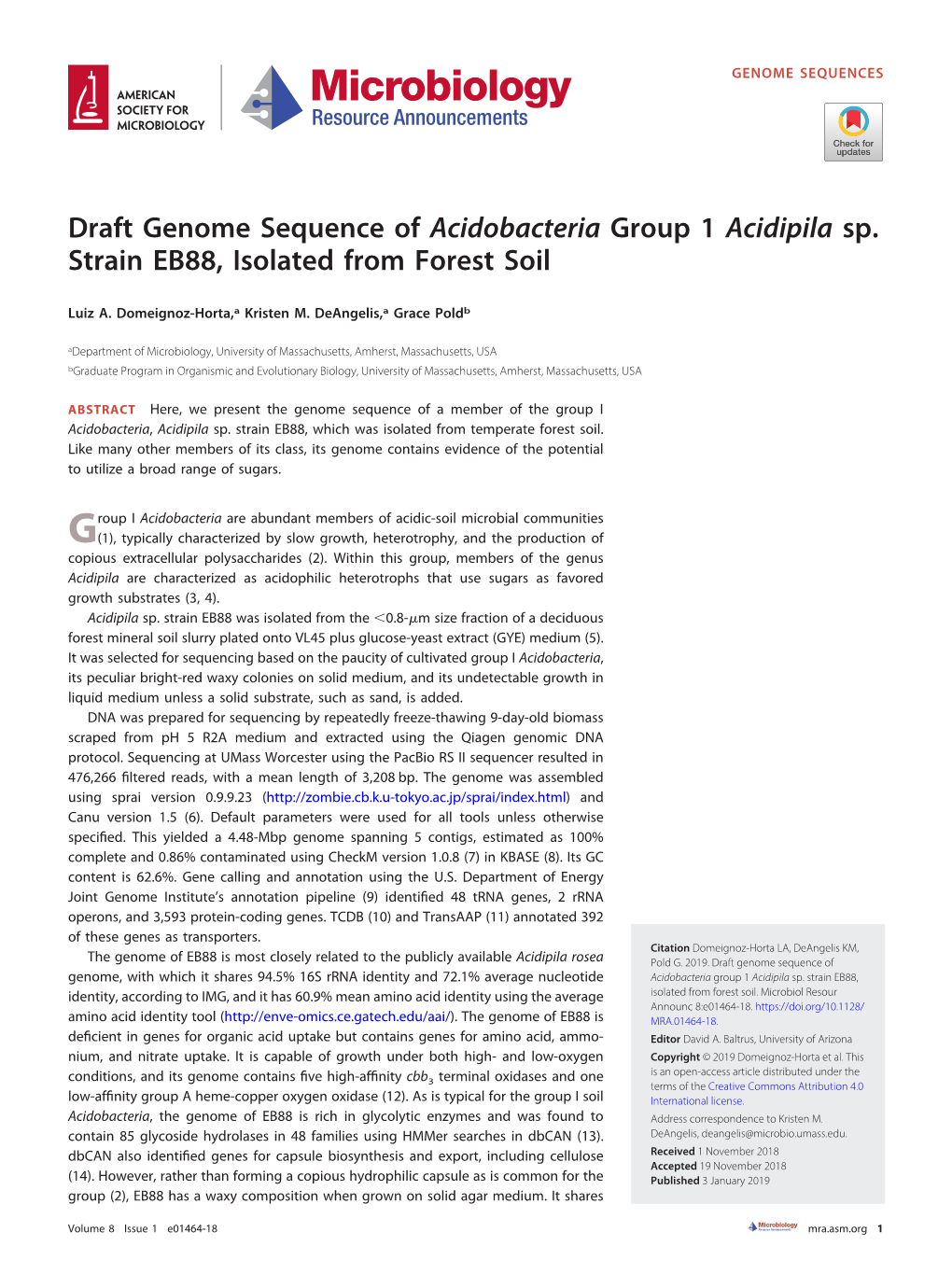 Draft Genome Sequence of Acidobacteria Group 1 Acidipila Sp