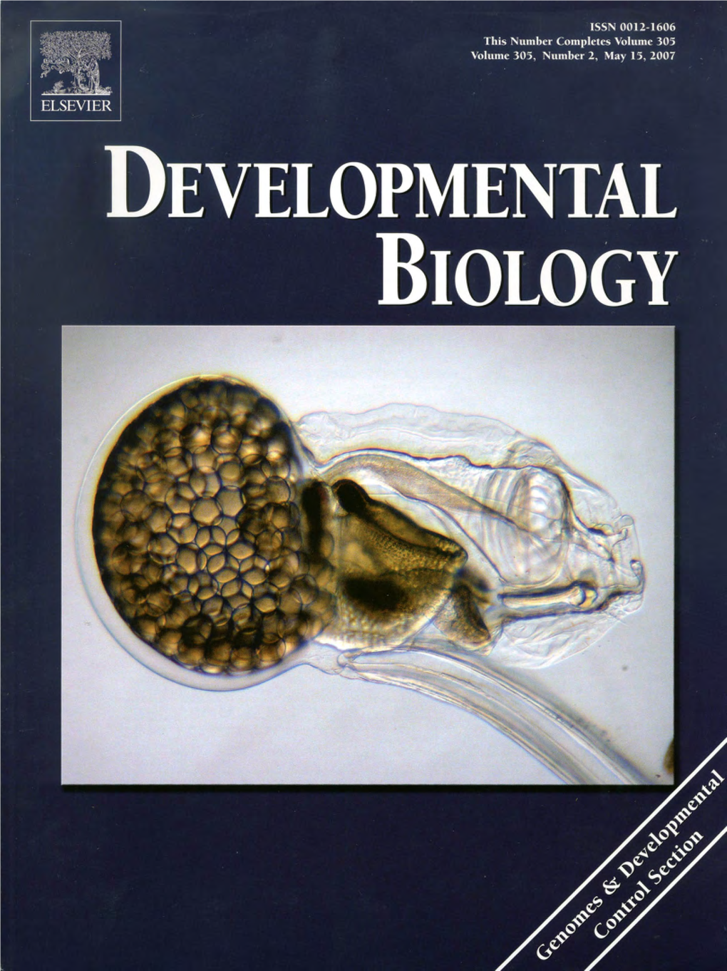 Canestro 07Devbio Oikopleura Retinoic Acid Chordate.Pdf