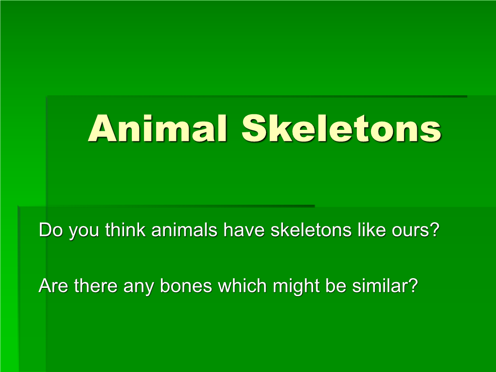 Do You Think Animals Have Skeletons Like Ours?