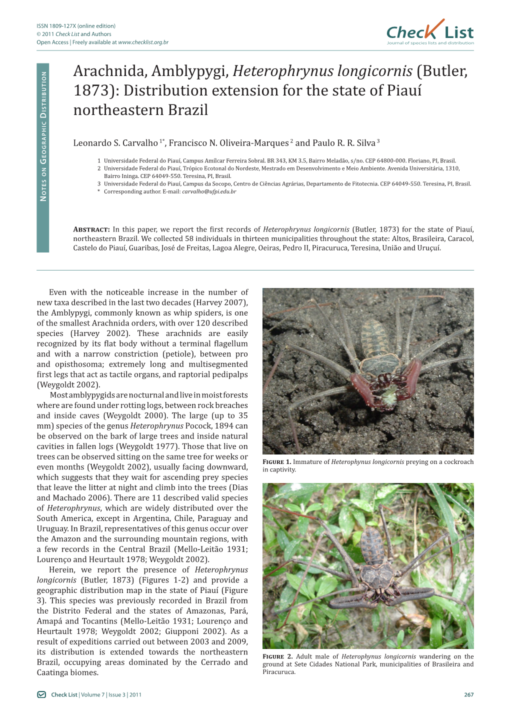 Arachnida, Amblypygi, Heterophrynus Longicornis (Butler, 1873): Distribution Extension for the State of Piauí
