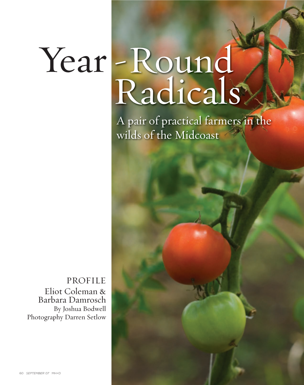 Year-Round Radicals (Pdf)