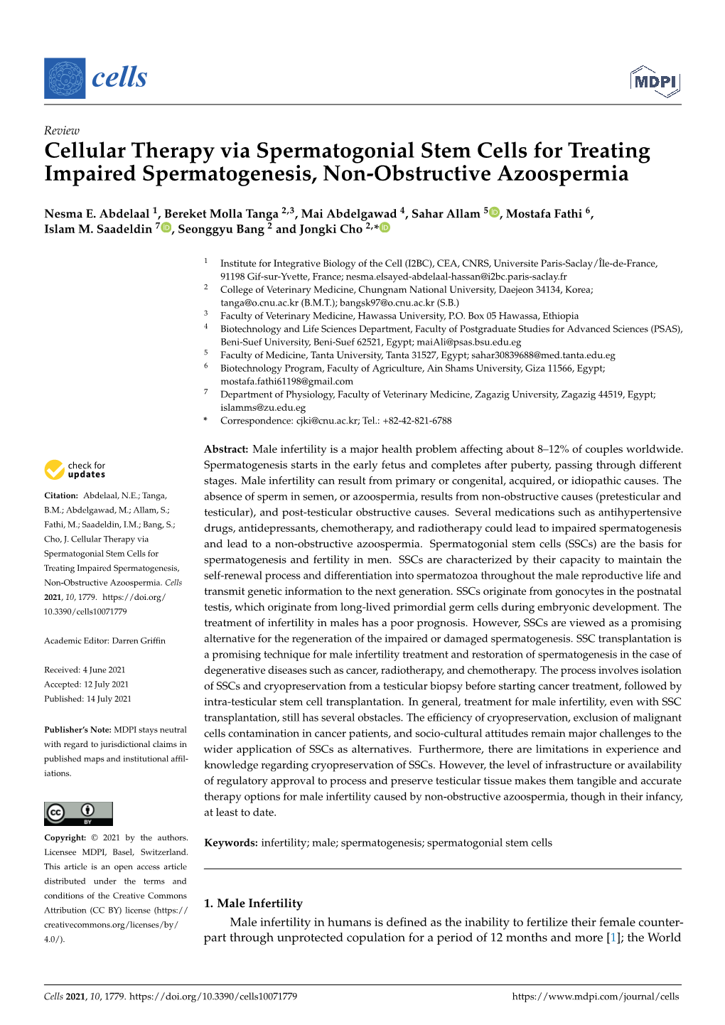 Cellular Therapy Via Spermatogonial Stem Cells for Treating Impaired Spermatogenesis, Non-Obstructive Azoospermia