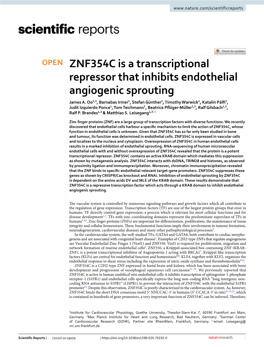 ZNF354C Is a Transcriptional Repressor That Inhibits Endothelial Angiogenic Sprouting James A