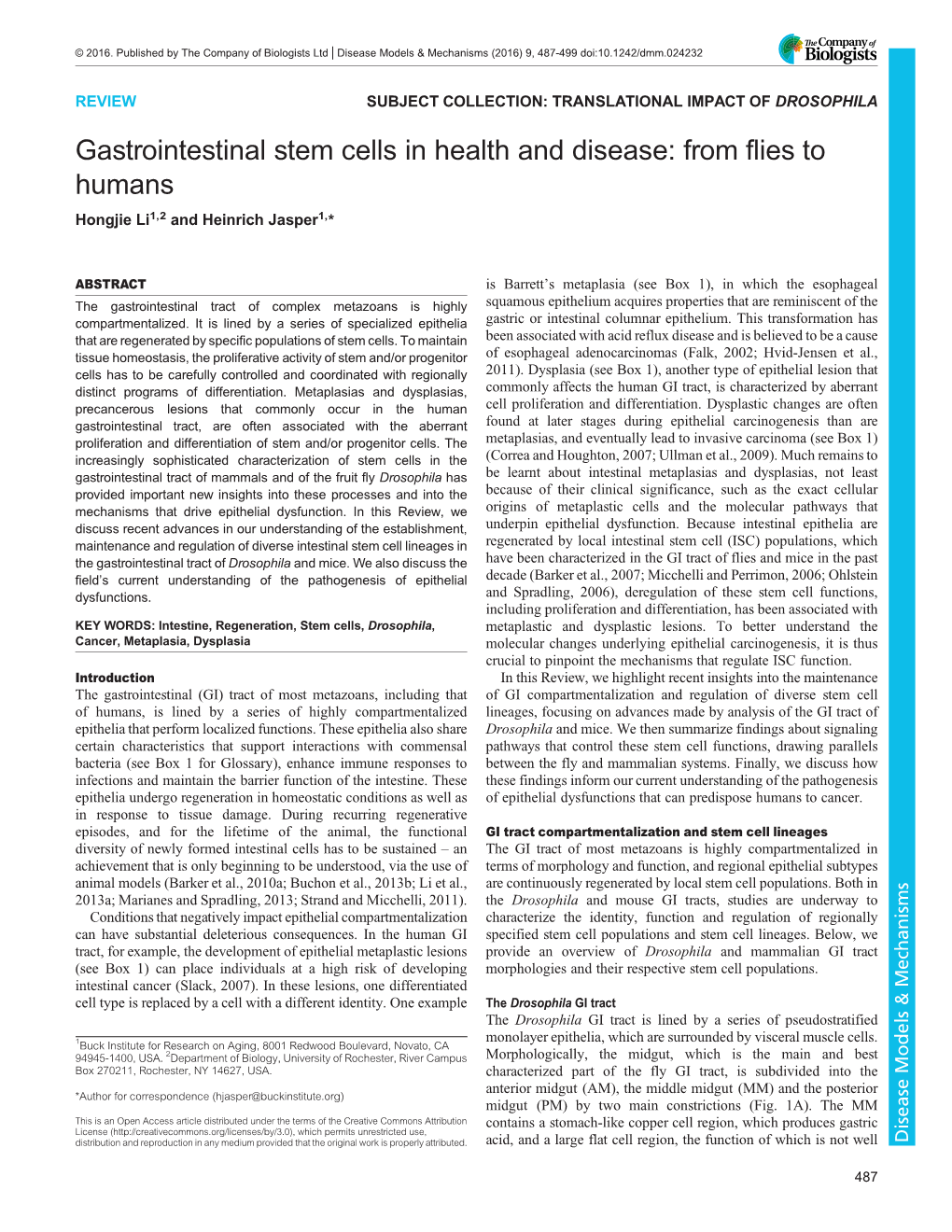 Gastrointestinal Stem Cells in Health and Disease: from Flies to Humans Hongjie Li1,2 and Heinrich Jasper1,*