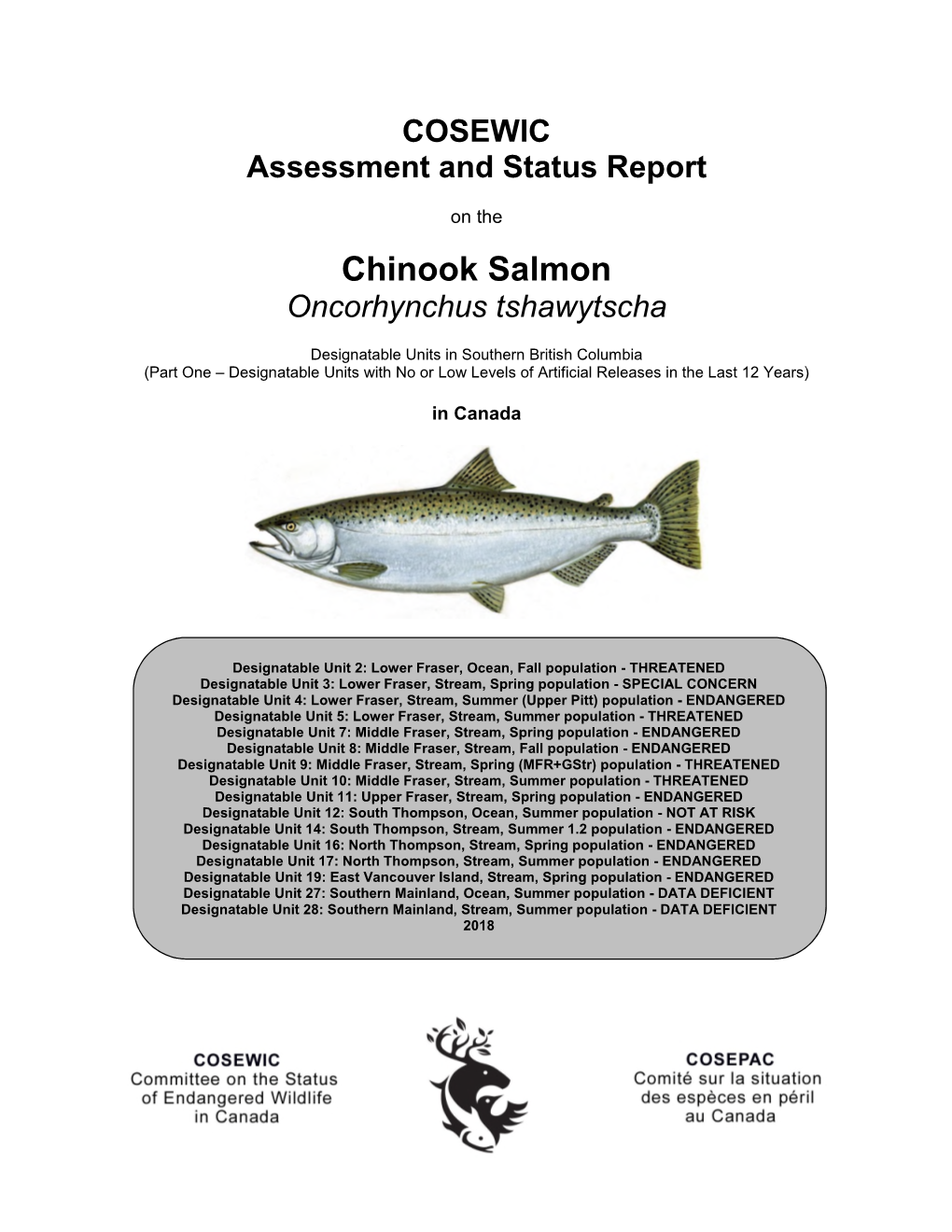 Chinook Salmon Oncorhynchus Tshawytscha