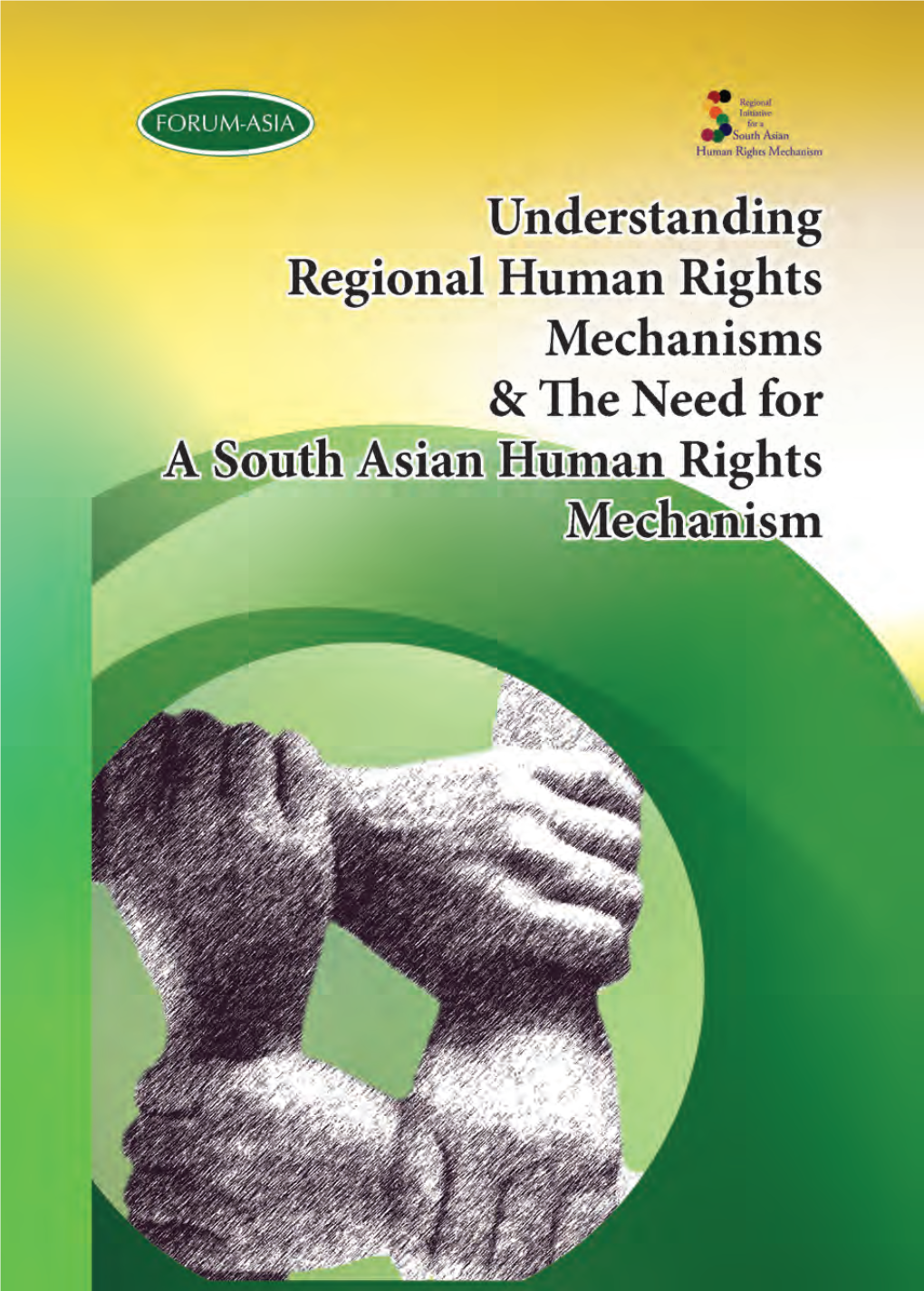 Regional Initiative for a South Asian Human Rights Mechanism (RISAHRM) 29