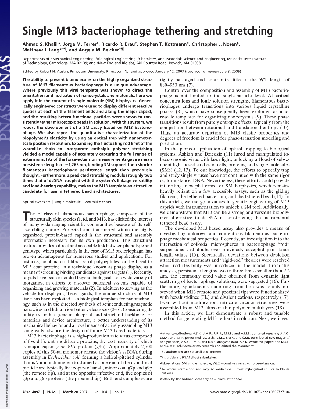 Single M13 Bacteriophage Tethering and Stretching