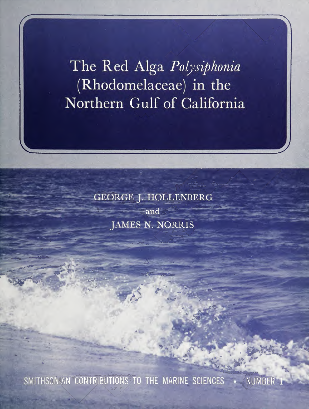 The Red Alga Polysiphonia (Rhodomelaceae) in the Northern Gulf of California