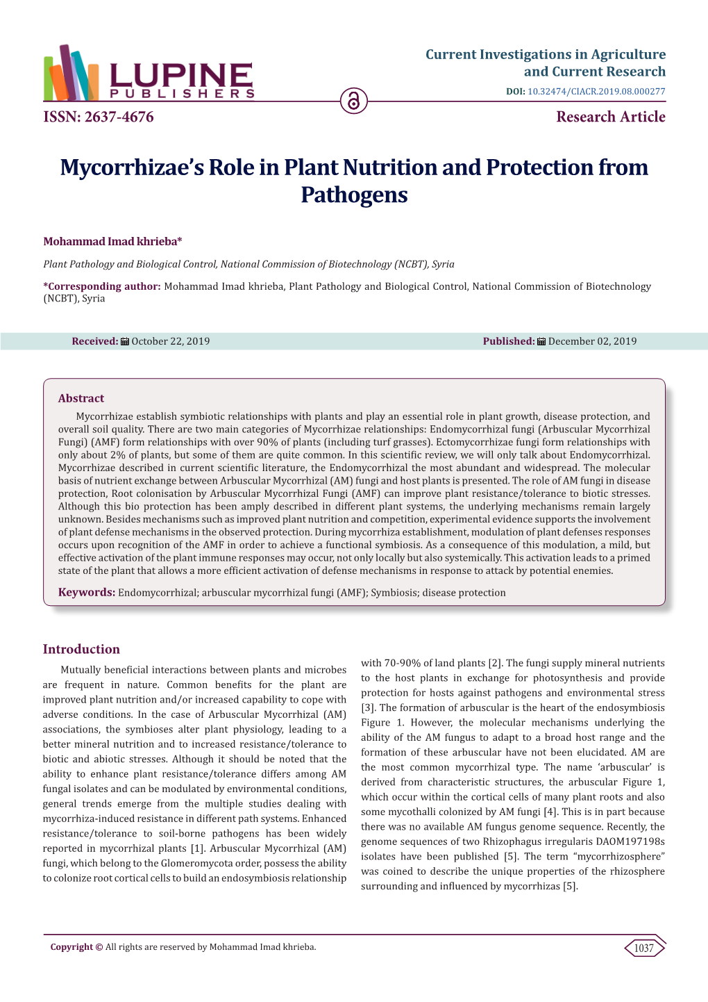 Mycorrhizae's Role in Plant Nutrition and Protection from Pathogens