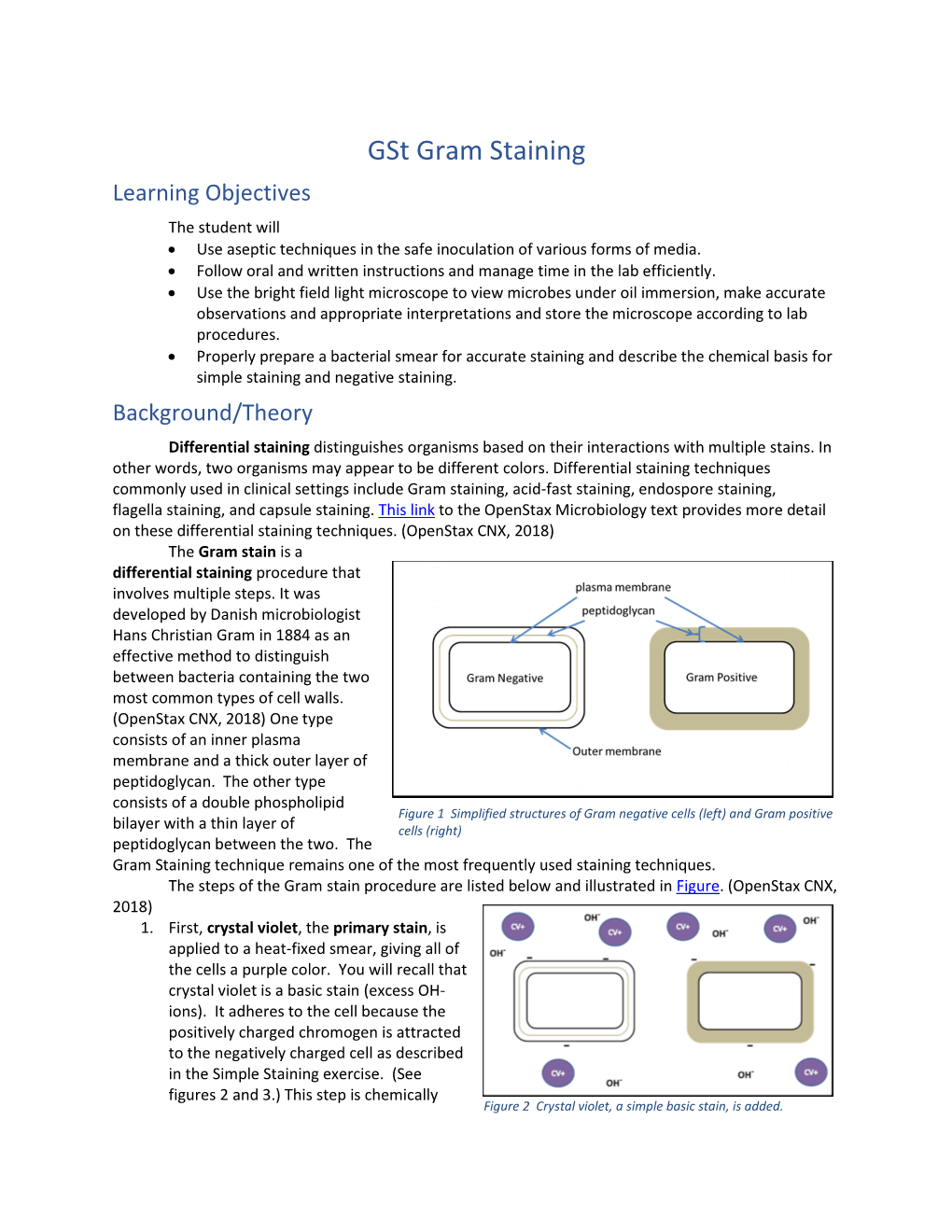 Gst Gram Staining Learning Objectives the Student Will  Use Aseptic Techniques in the Safe Inoculation of Various Forms of Media