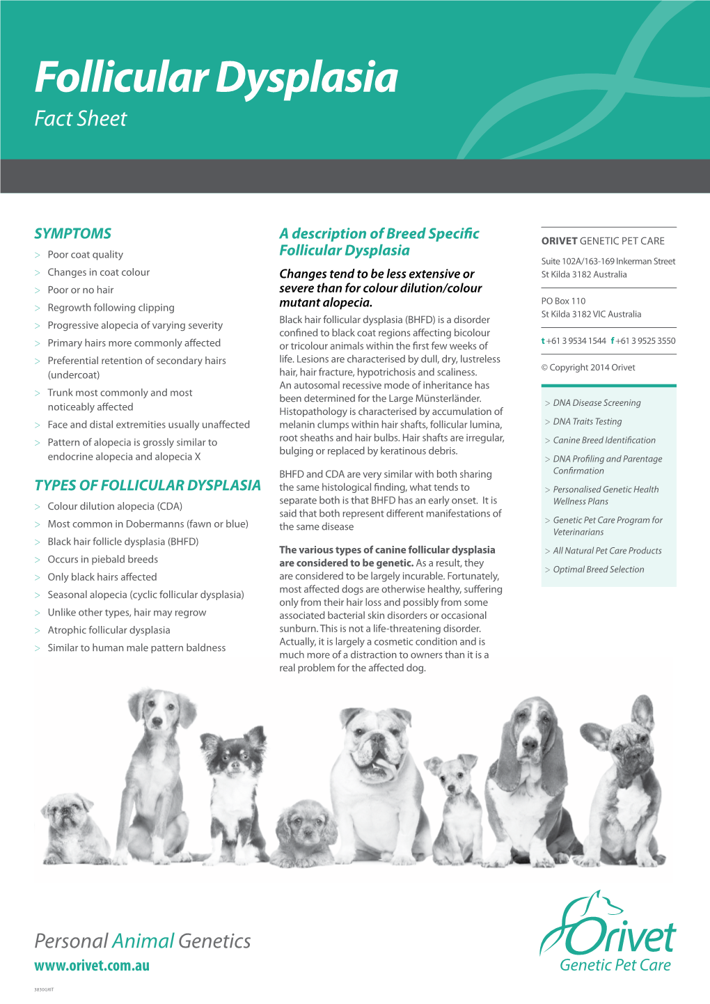 Follicular Dysplasia Fact Sheet