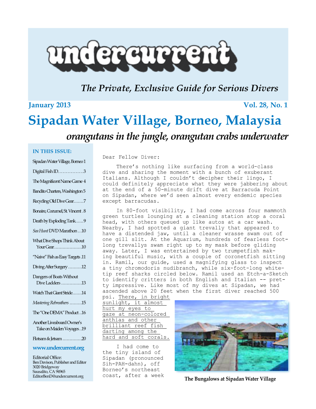 Undercurrent, January 2013