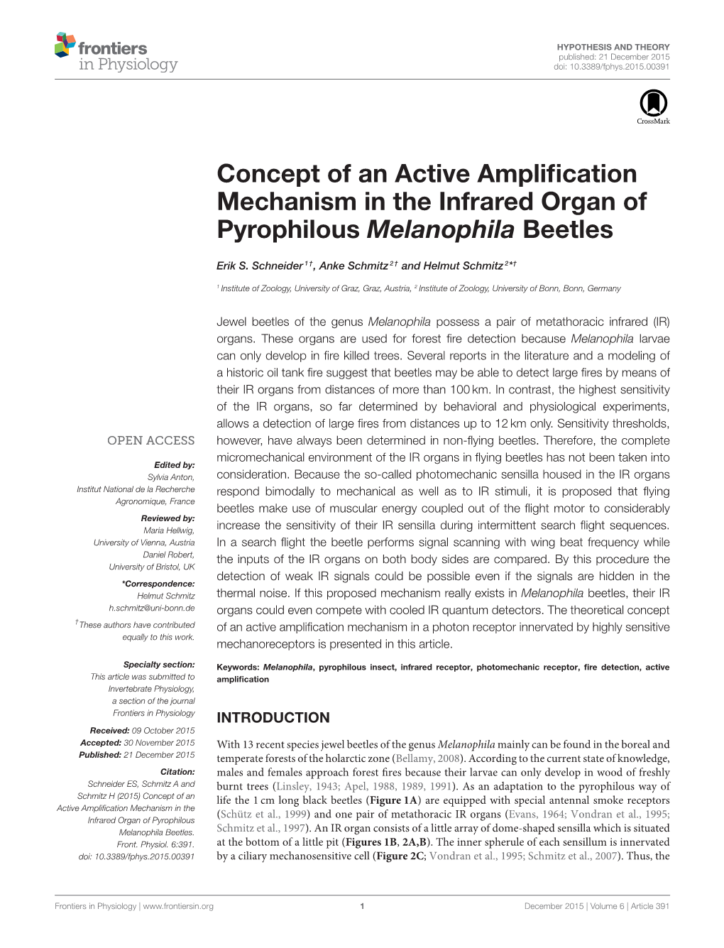 Concept of an Active Amplification Mechanism in the Infrared