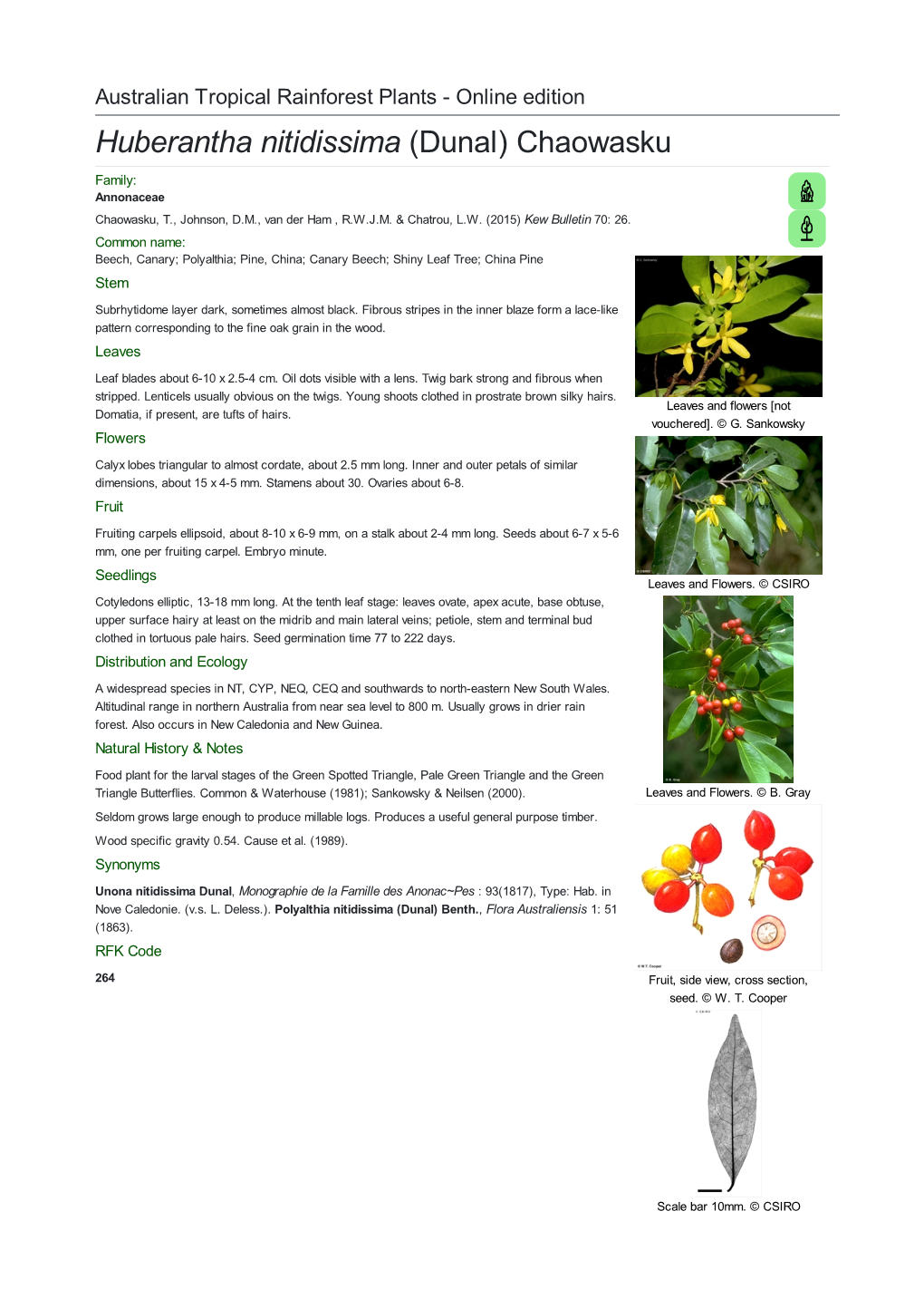 Huberantha Nitidissima (Dunal) Chaowasku Family: Annonaceae Chaowasku, T., Johnson, D.M., Van Der Ham , R.W.J.M
