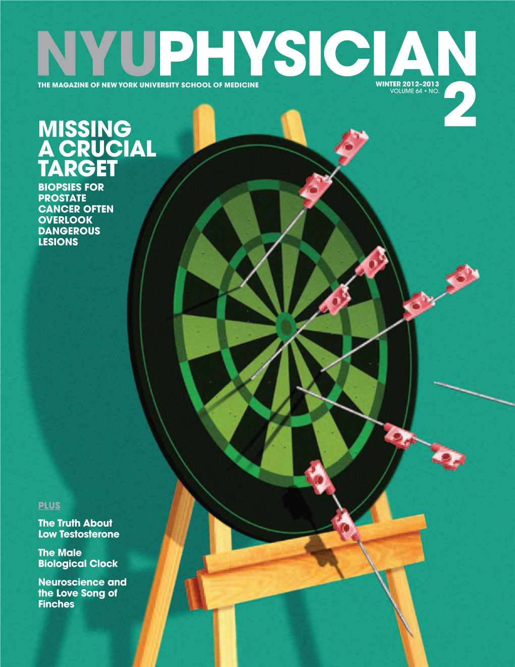 NYU Physician Hitting the Bull’S-Eye in Prostate Cancer Steven B