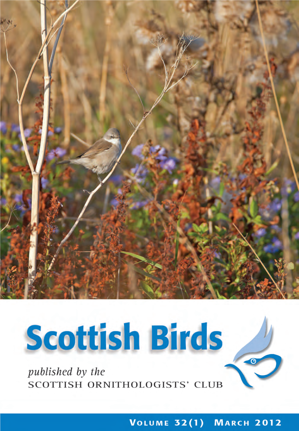 A Survey of Leach's Petrels on Shetland in 2011